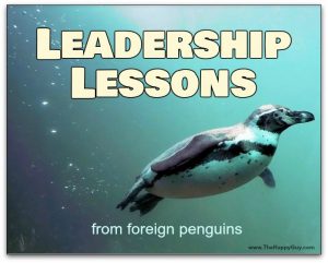 Leadership lessons form foreign penguins