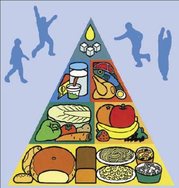 Czech Food Pyramid