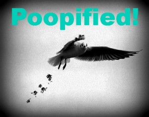 Poopified!