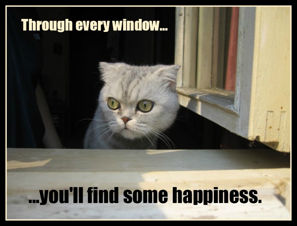Window of happiness
