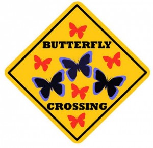 Butterfly Crossing