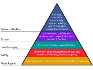 Maslow's hierarchy of needs