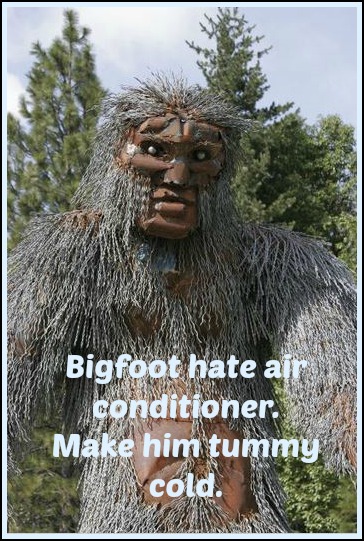 Bigfoot hate air conditioner.