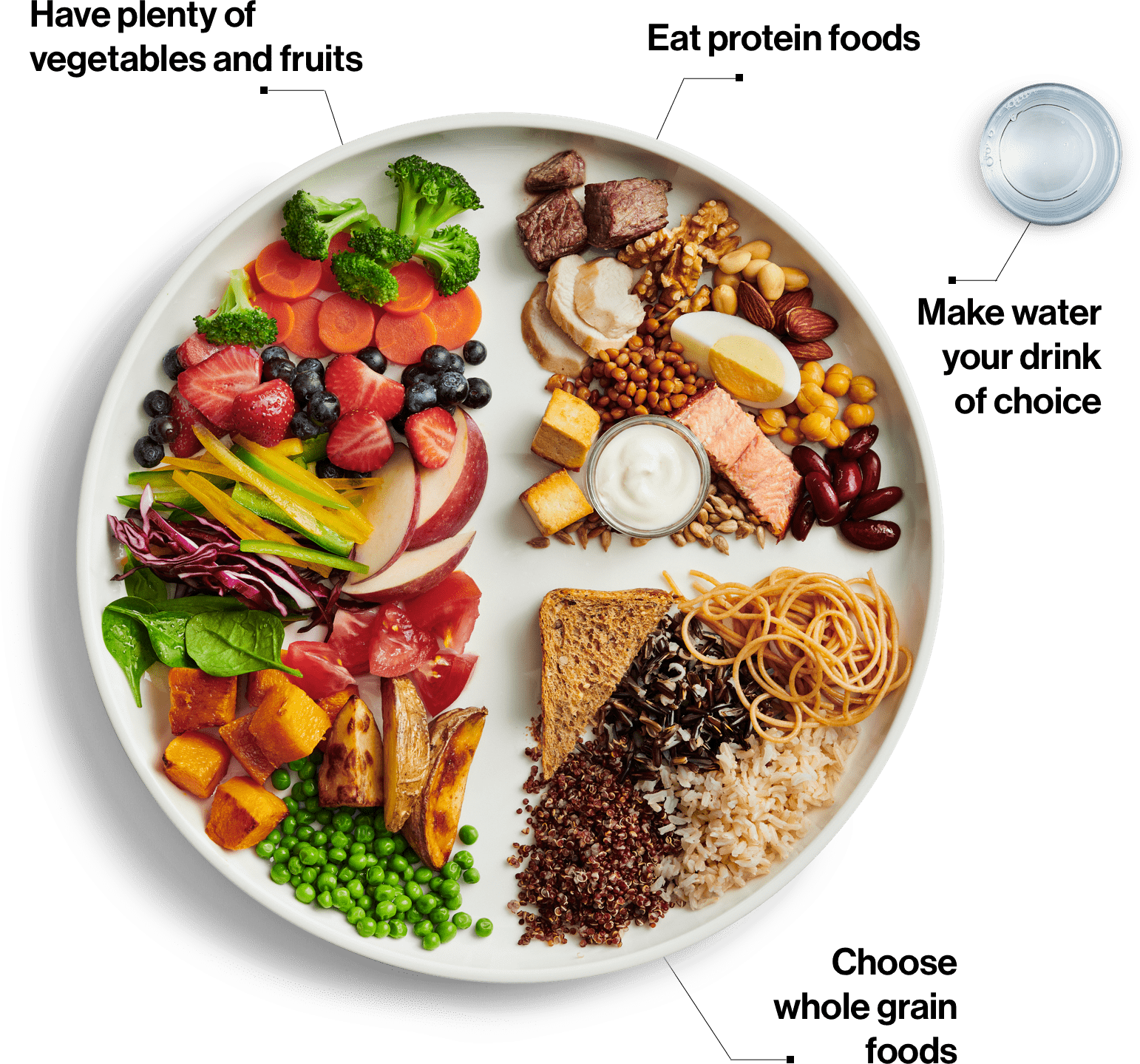 Healthy plate from the 2019 Canada food guide